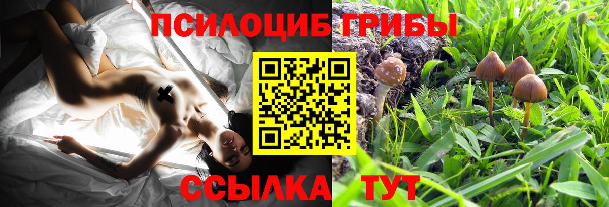 Псилоцибиновые грибы Psilocybe  Вход с VPN  Галлюциногенные грибы Magic Shrooms  Канаш 